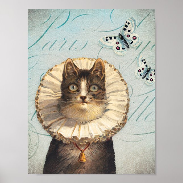 Vintage Katze mit Ruff Collar und Schmetterlingen Poster (Vorne)