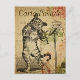 Vintage Katze spielt Fickloch-Postkarte Ankündigungspostkarte
