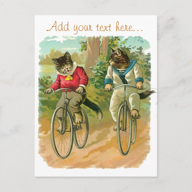 Vintage Katzen auf dem Fahrrad Postkarte (Vorderseite)