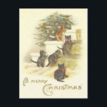 Vintage Katzen auf Treppen Frohe Weihnachtskarte Feiertagspostkarte<br><div class="desc">Beautiful Vintage Christmas Post Card Showing 4 Stairs Looking at nicely decorated Christmas Tree.</div>