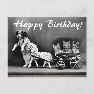 Vintage Katzen & Hunde Happy Geburtstag Postkarte