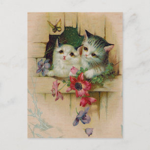 Vintage Katzen Postkarte