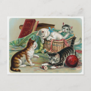 Vintage Katzen Postkarte