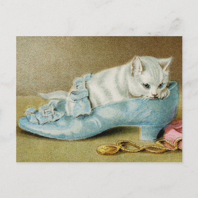 Vintage Katzen Postkarte (Vorderseite)