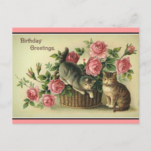 Vintage Katzen Rosengarnenkorb Postkarte (Vorderseite)