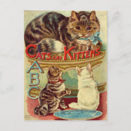 Vintage Katzen süße Tier Postkarte