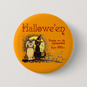 Vintage-Katzen- und Eulen-Knopf Button