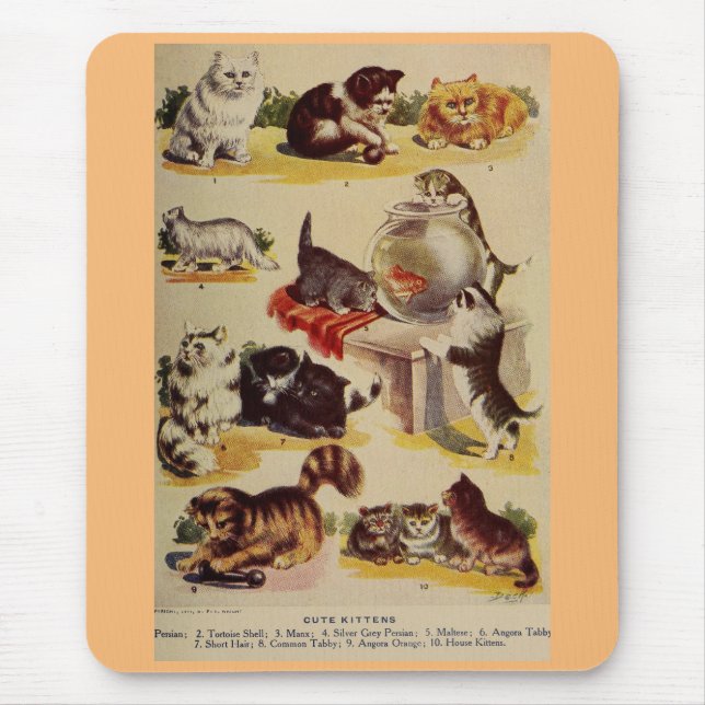 Vintage Katzenrasse niedlich Mousepad (Vorne)