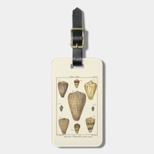 Vintage Kegel-Muscheln Gepäckanhänger