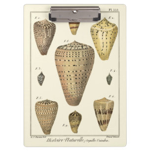 Vintage Kegel-Muscheln Klemmbrett