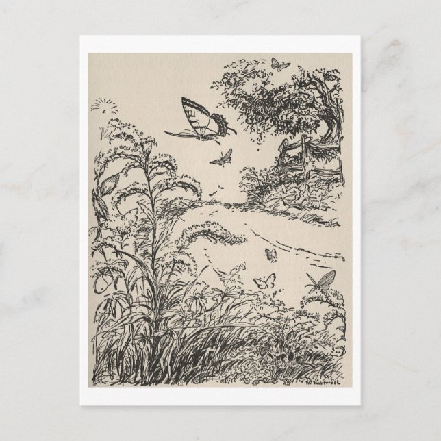 Vintage Kinderbuch-Illustration-Schmetterlinge Postkarte (Vorderseite)