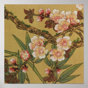 Vintage-Kirschblüten asiatische japanische Blumen Poster