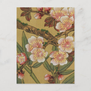 Vintage Kirschblüten Asiatische Japanische Blumen Postkarte