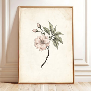Vintage-Kirschblüten-Kunst im Rahmen Poster
