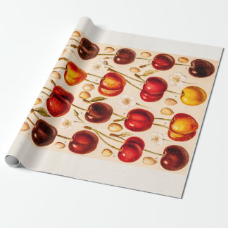 Vintage Kirschvielzahl-antike Kirschfrucht Geschenkpapier
