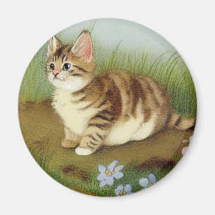 Vintage Kitten Illustration mit Blume Magnet