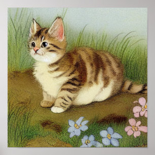 Vintage Kitten Illustration mit Blume Poster