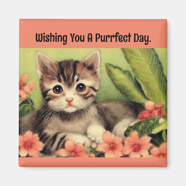 Vintage Kitten in Blume Magnet (Vorne)