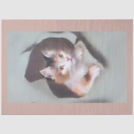 Vintage kittens breaking through gift wrap cute seidenpapier