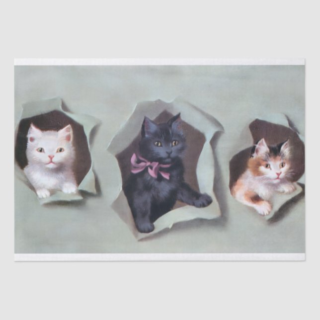 Vintage kittens breaking through gift wrap cute seidenpapier (Vorderseite)
