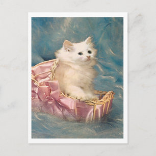Vintage Kitty Postkarte