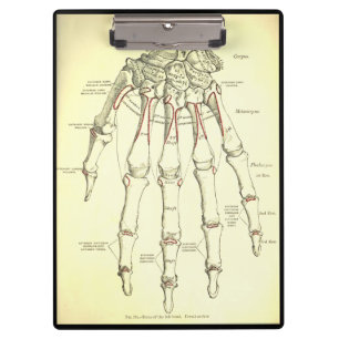 Vintage Knochen der Anatomie-  der Hand Klemmbrett