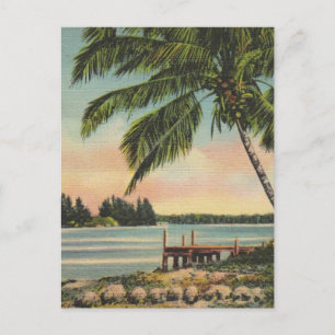 Vintage-Kokospalme Tropische Brise Sonnenuntergang Postkarte