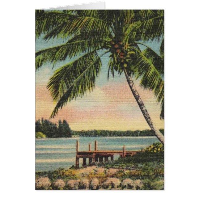 Vintage Kokospalmen Tropischer Sonnenuntergang (Vorne)