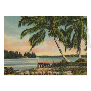 Vintage Kokospalmen Tropischer Sonnenuntergang