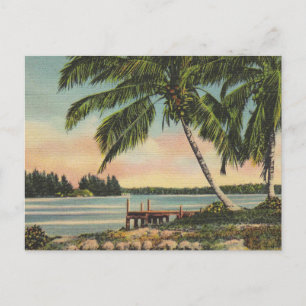 Vintage Kokospalmen Tropischer Sonnenuntergang Postkarte