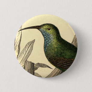 Vintage Kolibri-Button Button