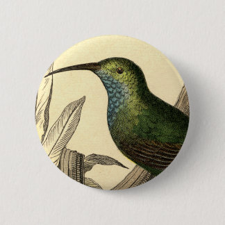 Vintage Kolibri-Button Button