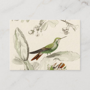 Vintage Kolibri-Illustration - Vögel 1800's Visitenkarte