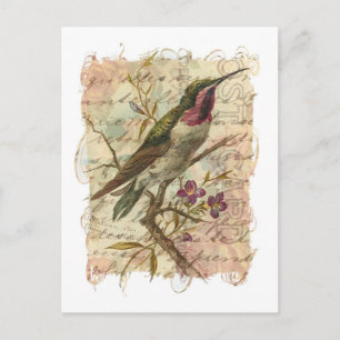 Vintage Kolibri Postkarte