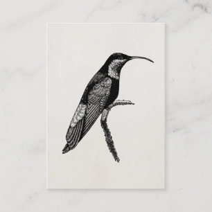 Vintage Kolibri-Vogel-Illustrations-Schablone Visitenkarte