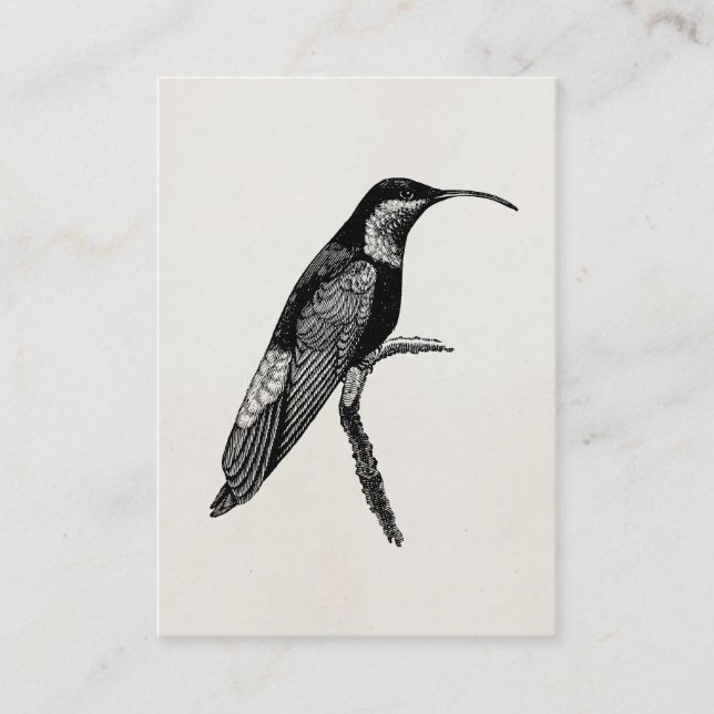 Vintage Kolibri-Vogel-Illustrations-Schablone Visitenkarte (Vorderseite)