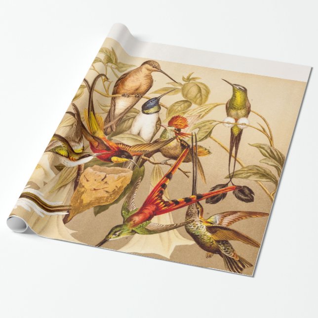 Vintage Kolibri-Vogel-Kolibri-Vogel-Vögel Geschenkpapier (Ungerollt)