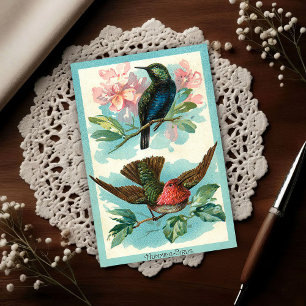 Vintage Kolibris 1917 Tropische Kunst Postkarte
