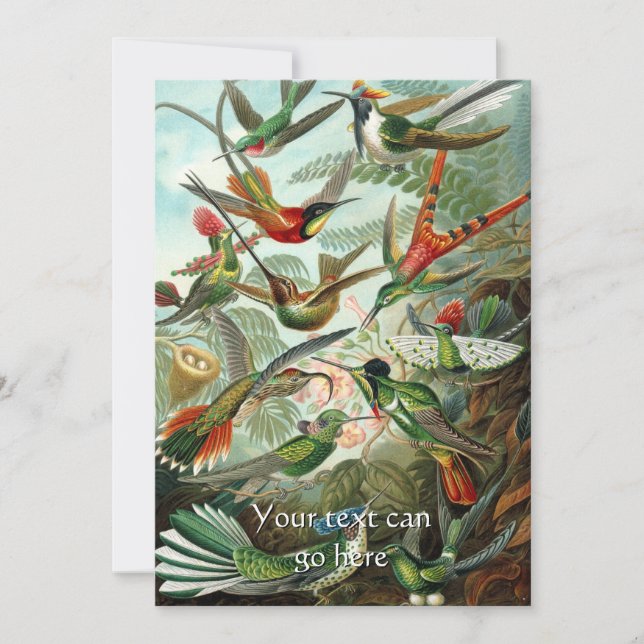 Vintage Kolibris Einladung (Vorderseite)