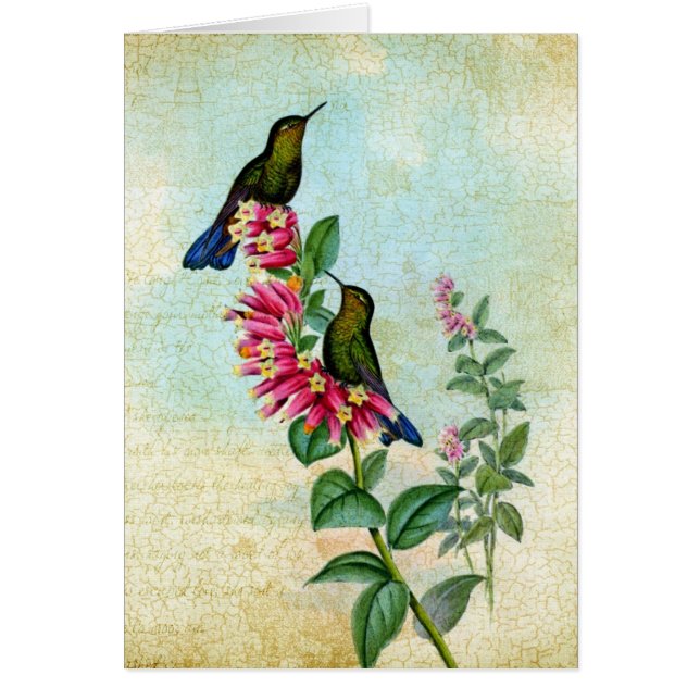 Vintage Kolibris, Gute Besserung (Devant)