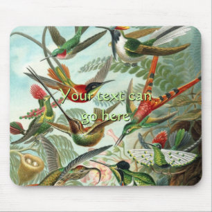 Vintage Kolibris Mousepad