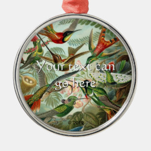 Vintage Kolibris Silbernes Ornament