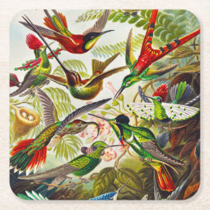 Vintage Kolibris von Ernst Haeckel Rechteckiger Pappuntersetzer