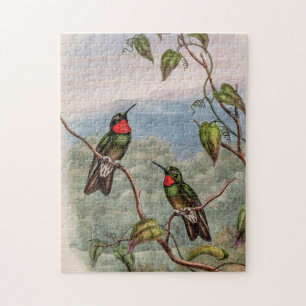 Vintage Kolibris von John Gould