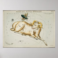 Vintage Konstellation