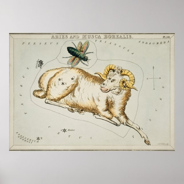 Vintage Konstellation Poster (Vorne)