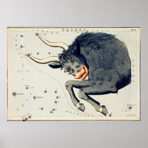 Vintage Konstellation Poster
