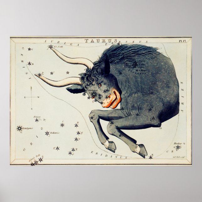 Vintage Konstellation Poster (Vorne)