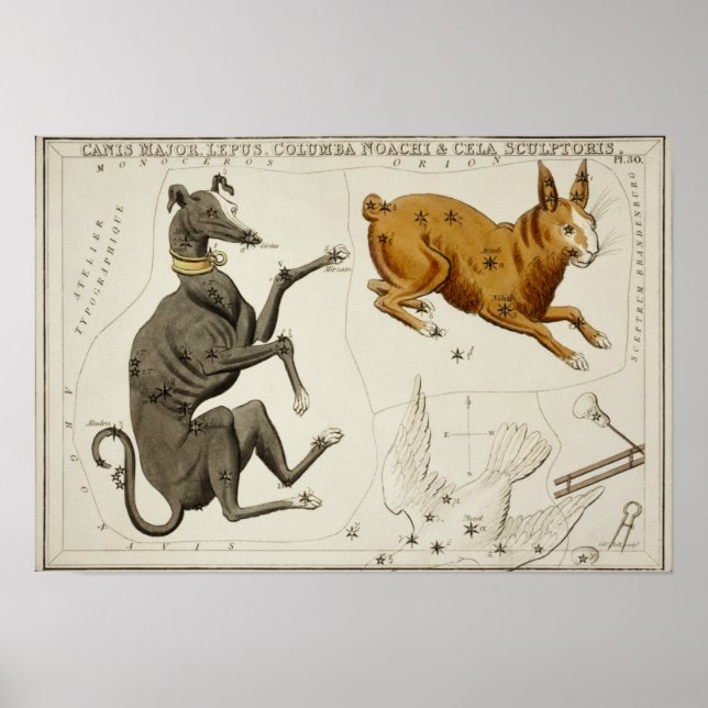 Vintage Konstellation Poster (Vorne)