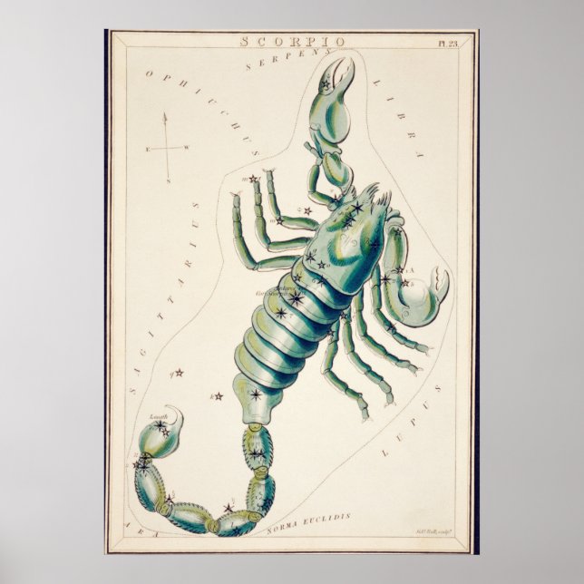 Vintage Konstellation Poster (Vorne)